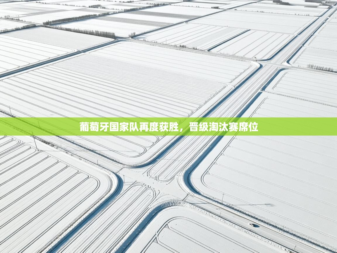 葡萄牙国家队再度获胜，晋级淘汰赛席位  第2张