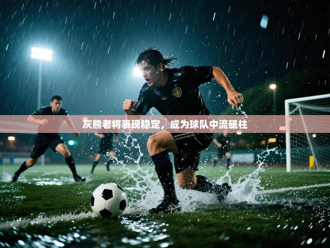 灰熊老将表现稳定，成为球队中流砥柱