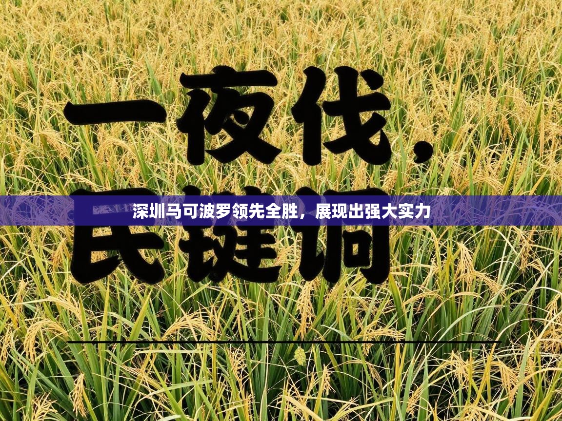 深圳马可波罗领先全胜，展现出强大实力  第1张