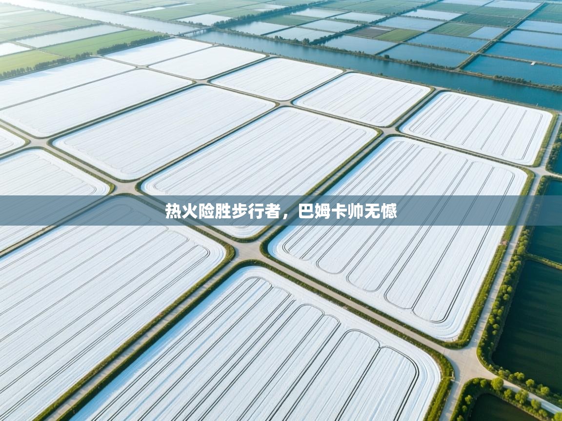 热火险胜步行者，巴姆卡帅无憾