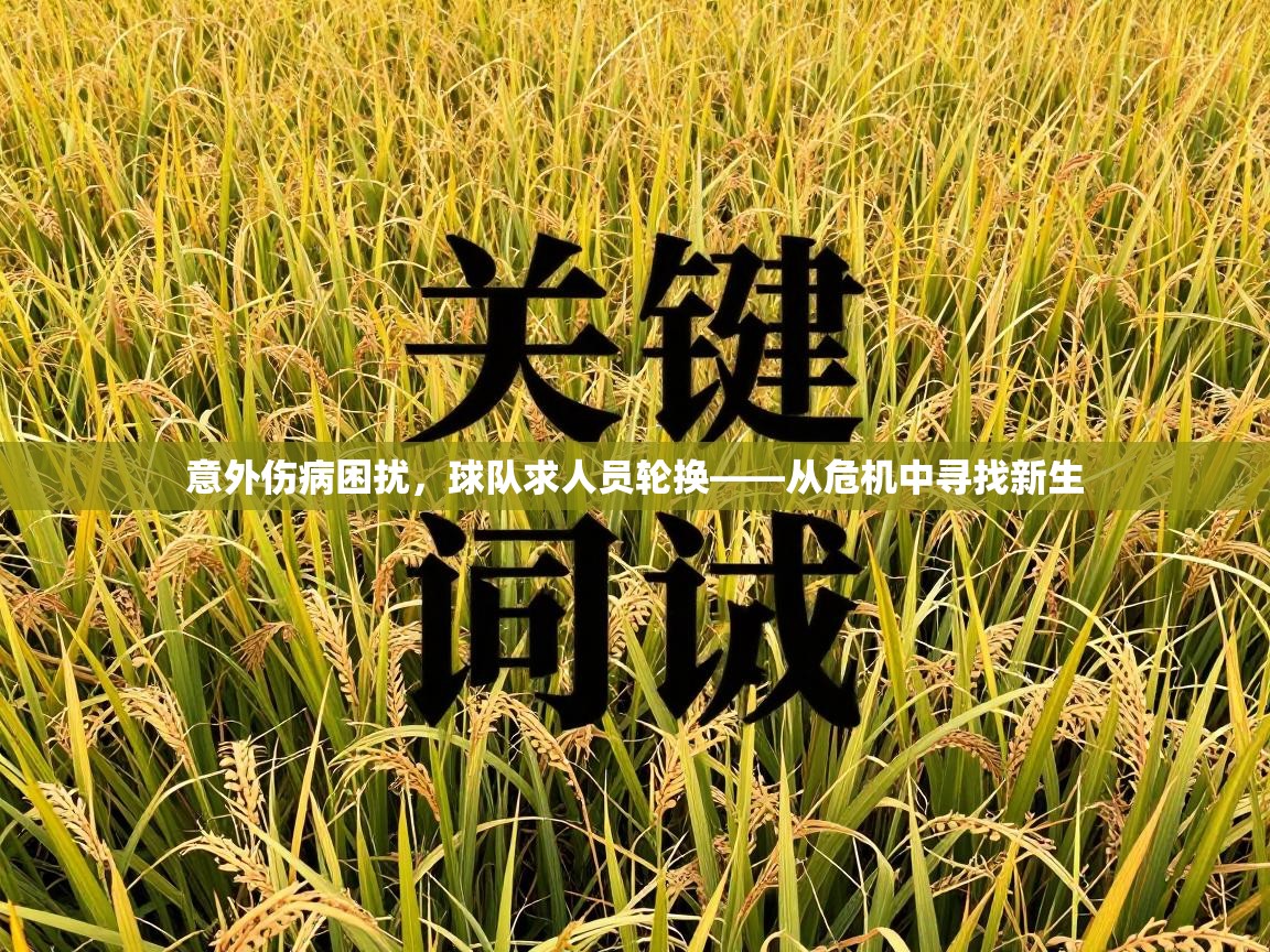 意外伤病困扰,球队求人员轮换——从危机中寻找新生 第2张