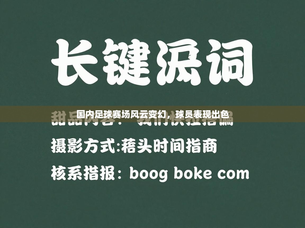 国内足球赛场风云变幻，球员表现出色  第2张